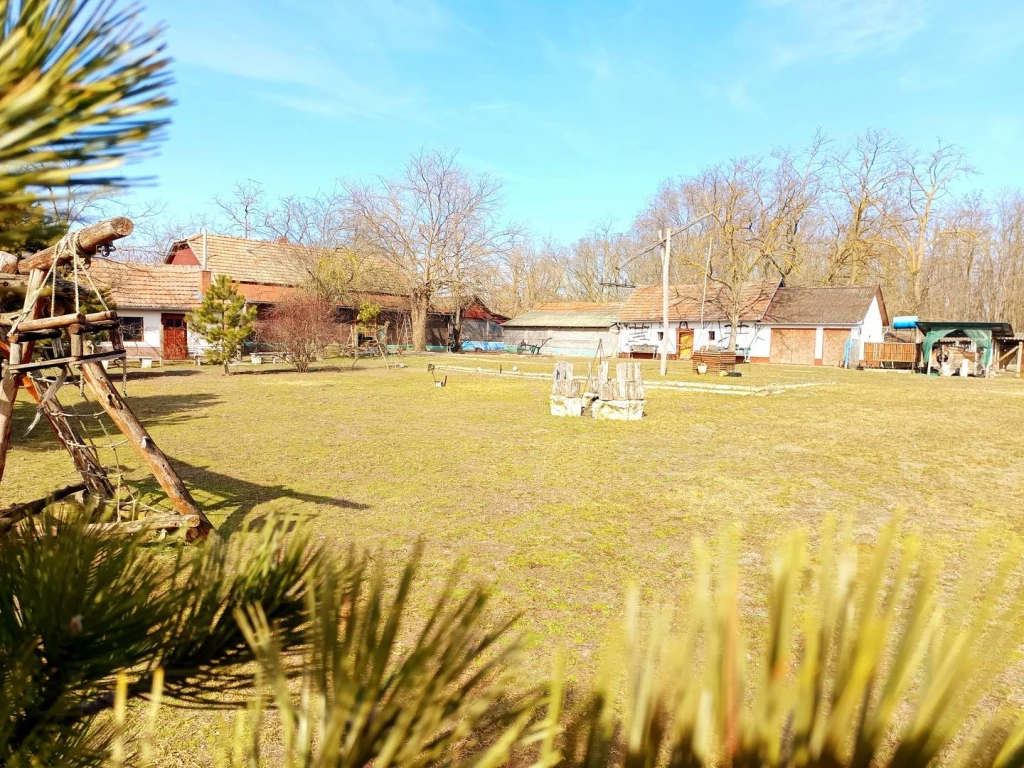 Eladó Tanya, Kocsér, 65nm, 83000000 Ft