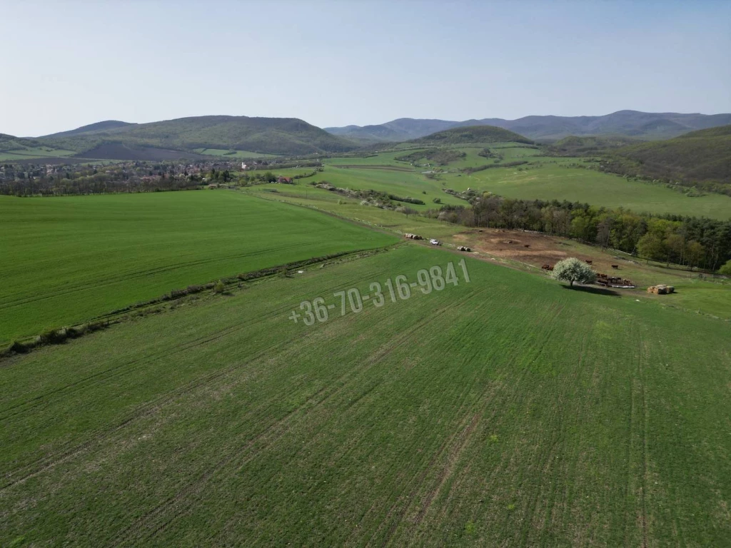 Eladó Építési telek, Szokolya,  Nincs megadva, 5277nm, 44900000 Ft