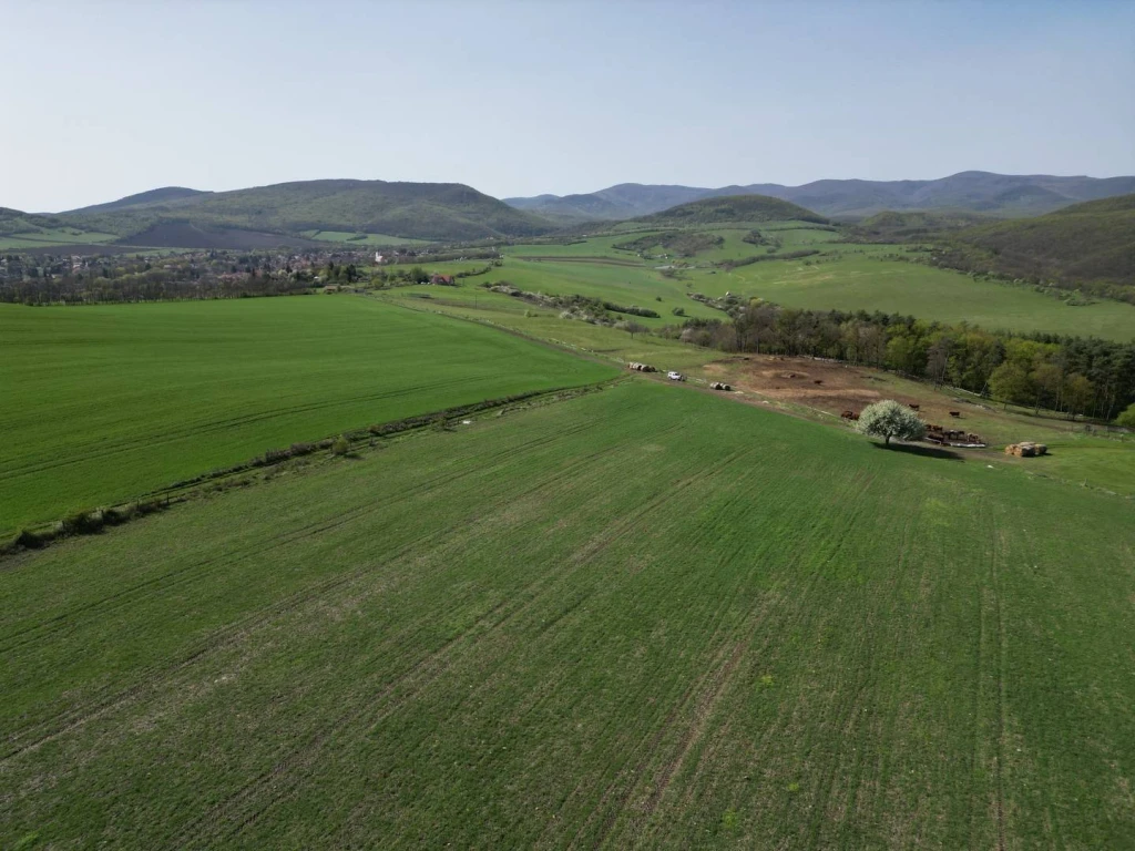 Eladó Építési telek, Szokolya,  Nincs megadva, 5277nm, 49900000 Ft