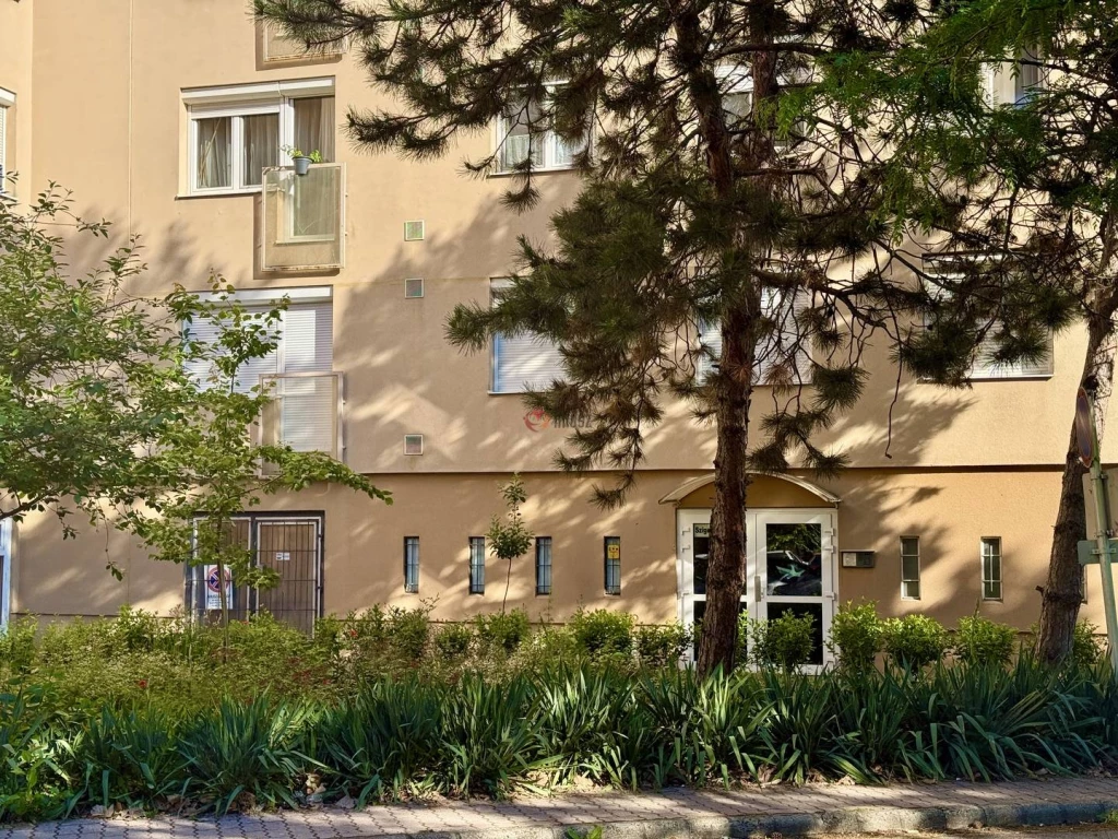 c3-1-name c2-20-name, Székesfehérvár, Palotaváros, Sziget utca