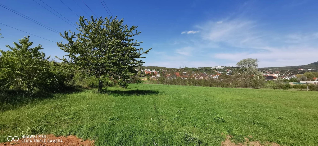 Eladó Építési telek, Budakeszi, Darányi, 1nm, 90000000 Ft