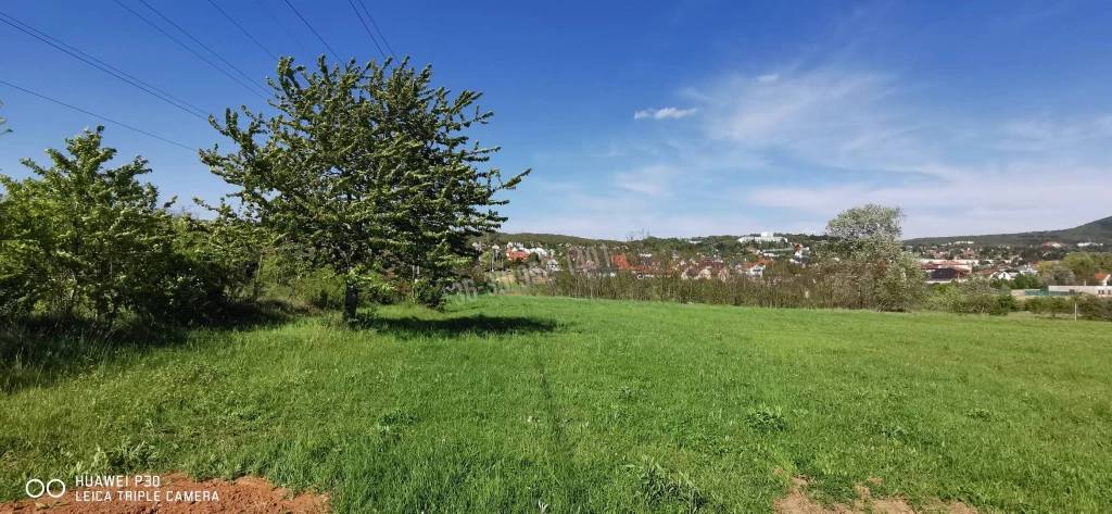 Eladó Építési telek, Budakeszi, Darányi, 1nm, 90000000 Ft