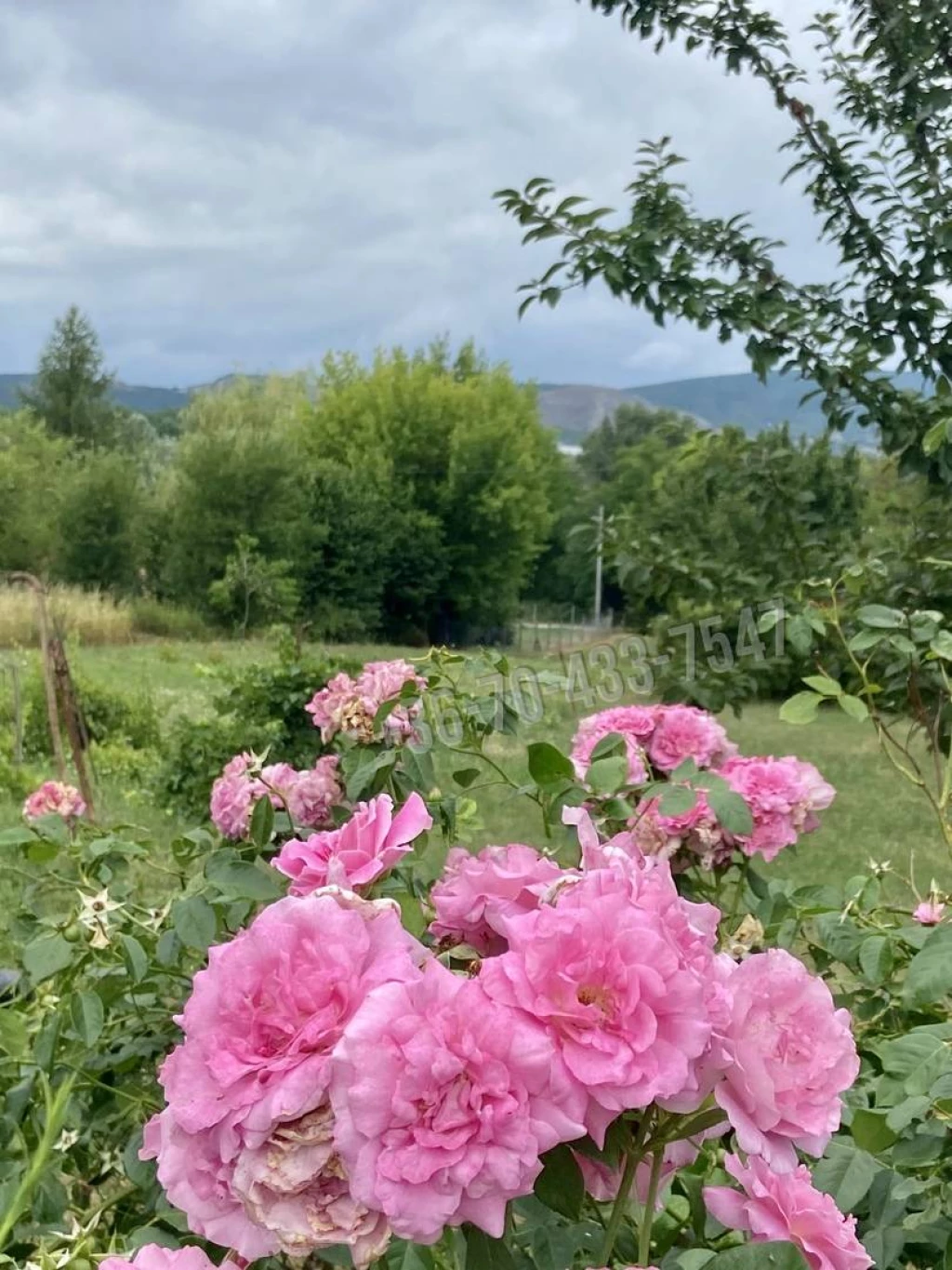 For sale building plot, Törökbálint, Pistály