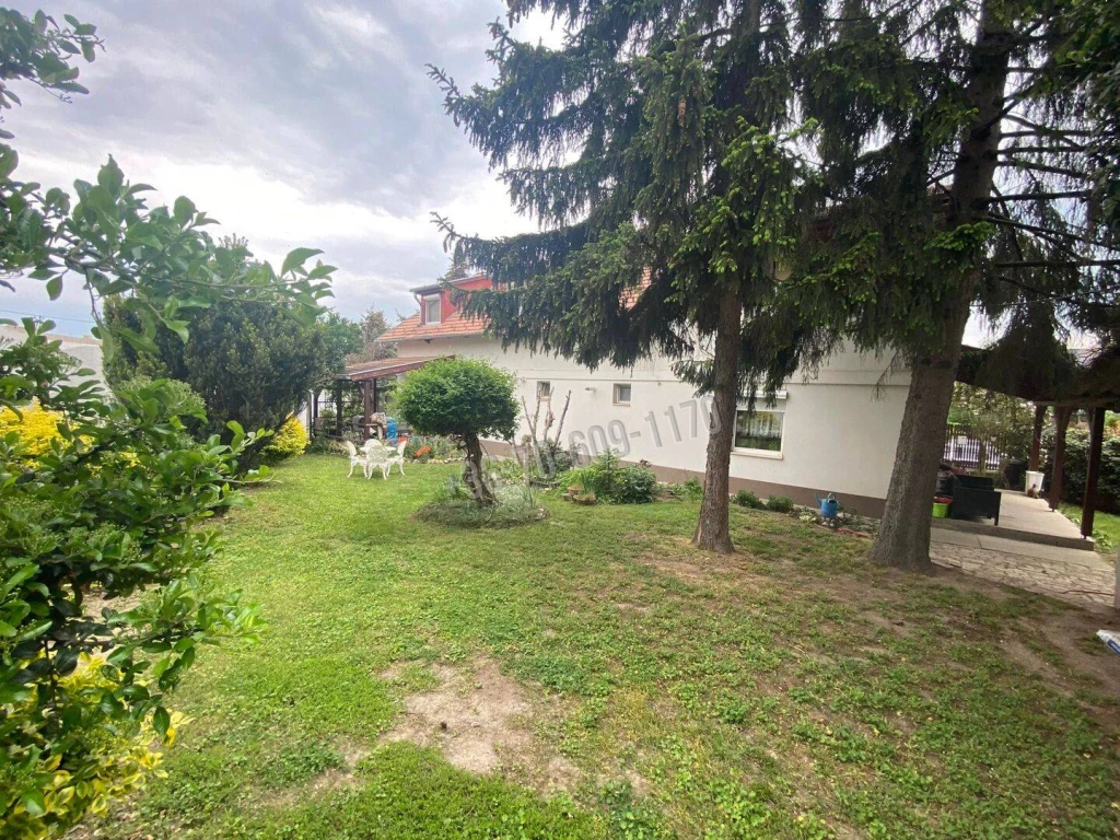 c3-1-name c2-1-name, Vác, Kertváros