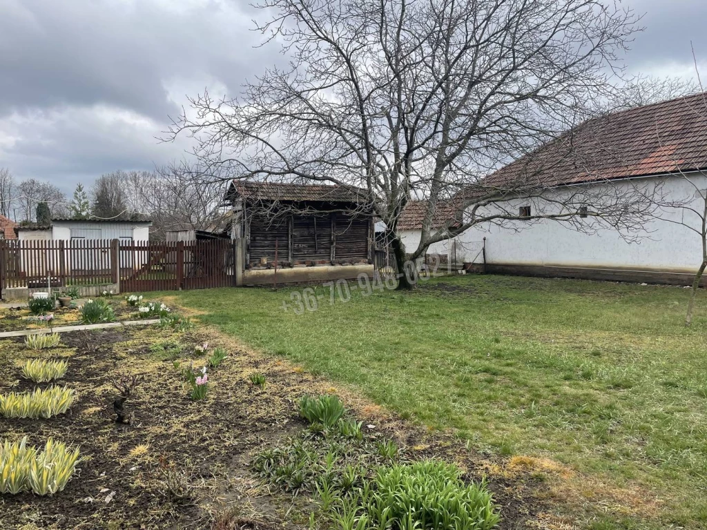 For sale house, Békéscsaba, Jamina