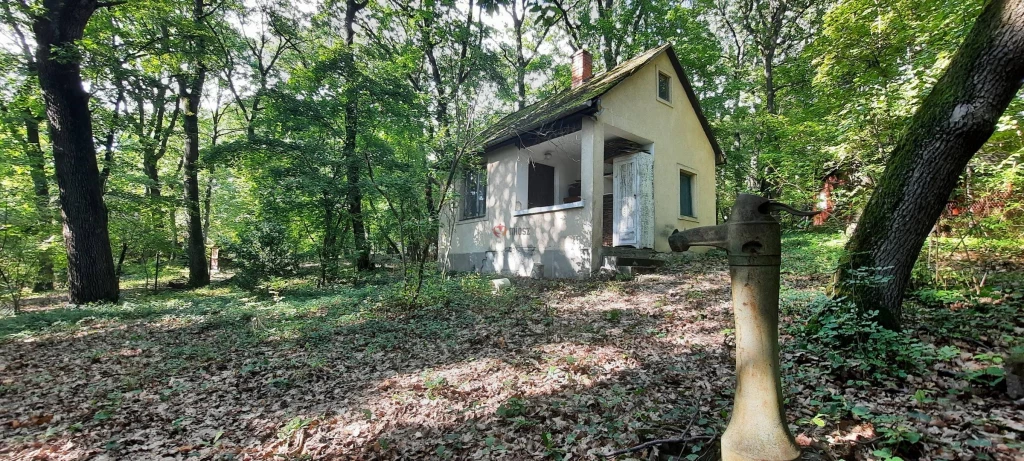 Eladó Üdülő, nyaraló, Kismaros, Börzsönyliget, 18nm, 29900000 Ft