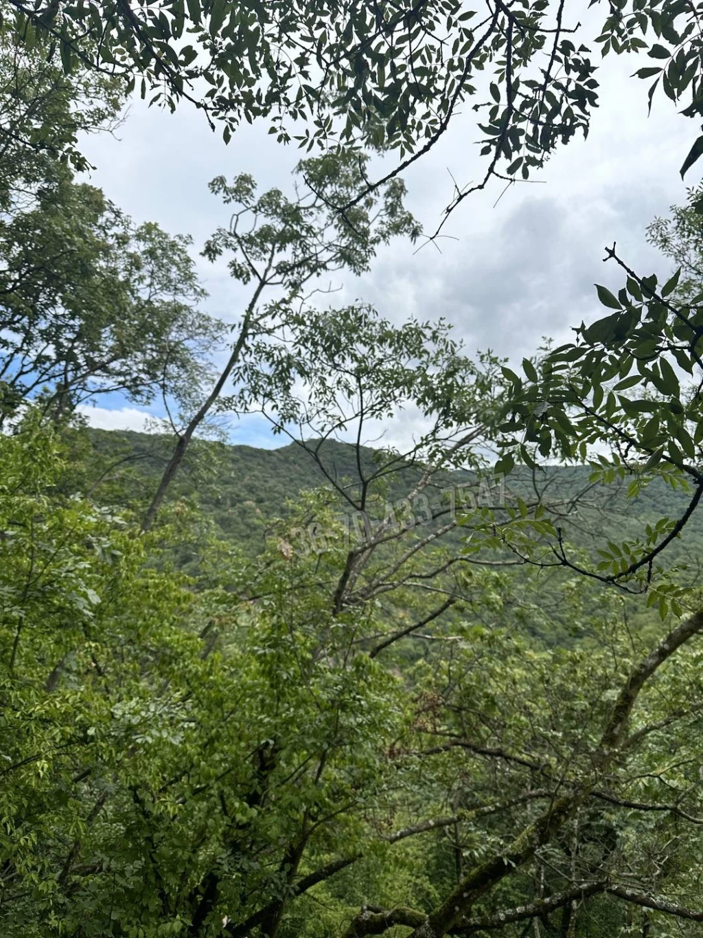 For sale building plot, Törökbálint, Raktárváros