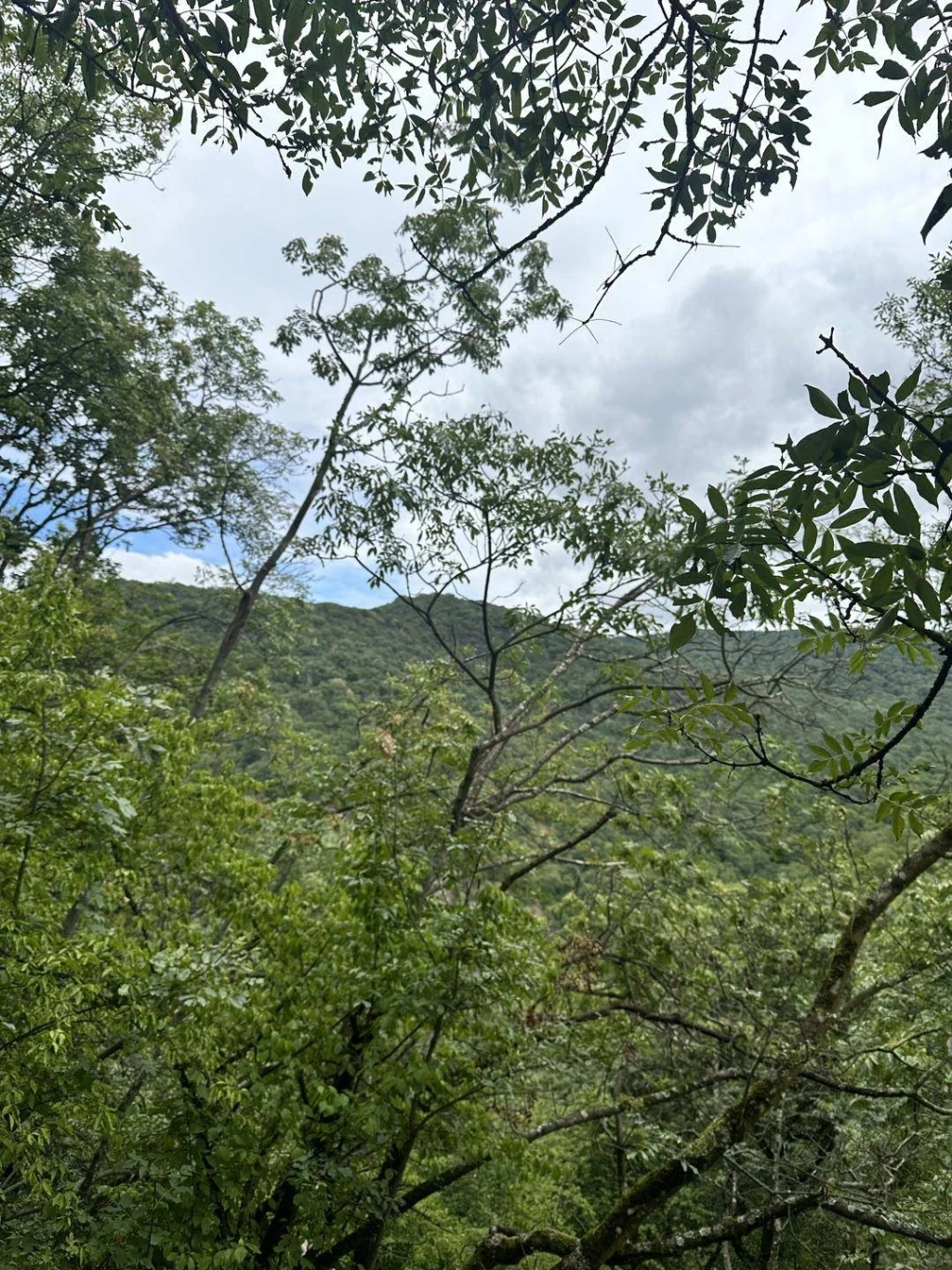 Eladó Építési telek, Törökbálint, Raktárváros, 1448nm, 37000000 Ft