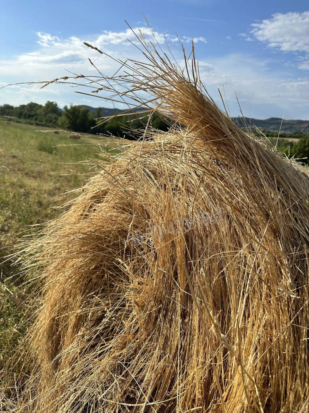 For sale building plot, Törökbálint, Raktárváros