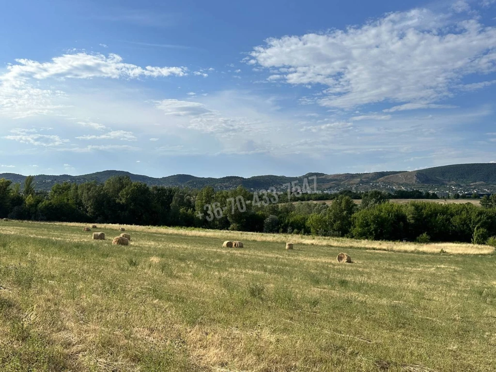 c3-1-name c2-50-name, Budaörs, Nincs megadva