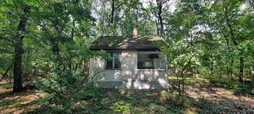 Eladó Építési telek, Kismaros, Börzsönyliget, 955nm, 29900000 Ft