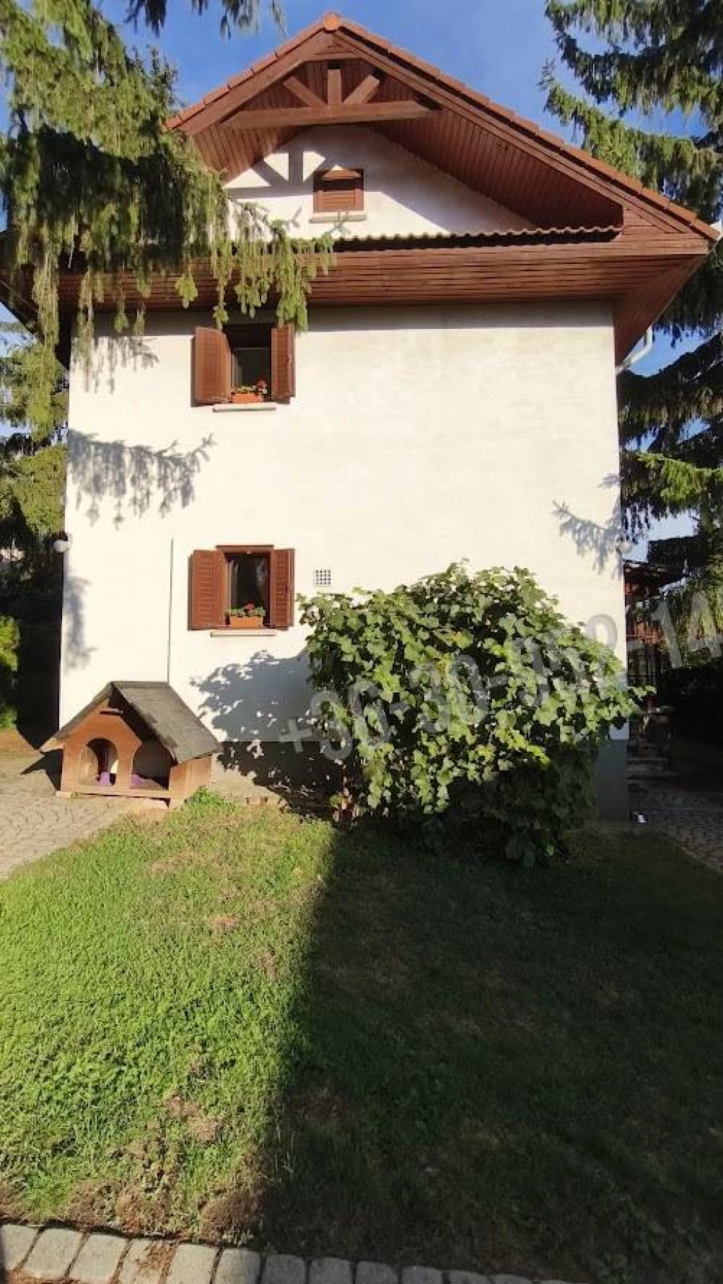 c3-1-name c2-1-name, Budakeszi, Szilvamag