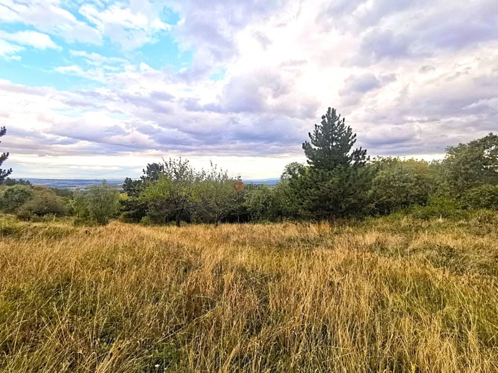 Eladó Építési telek, Vác, Gombás, 10000nm, 35000000 Ft