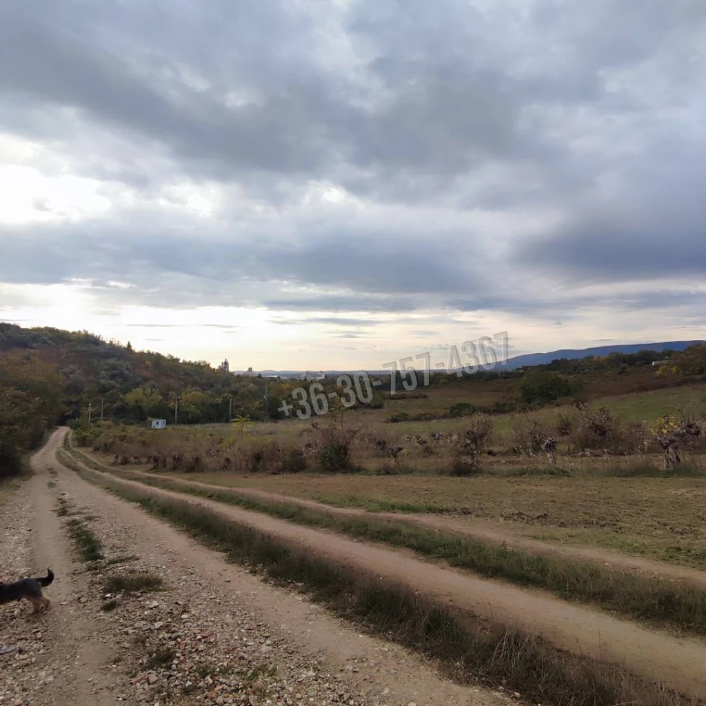 Eladó Építési telek, Vác, Hermány, 813nm, 6000000 Ft