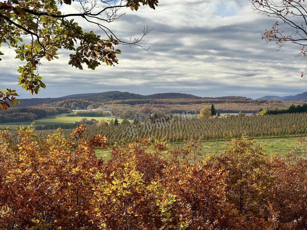Eladó Külterületi telek, Berkenye, 0nm, 33000000 Ft