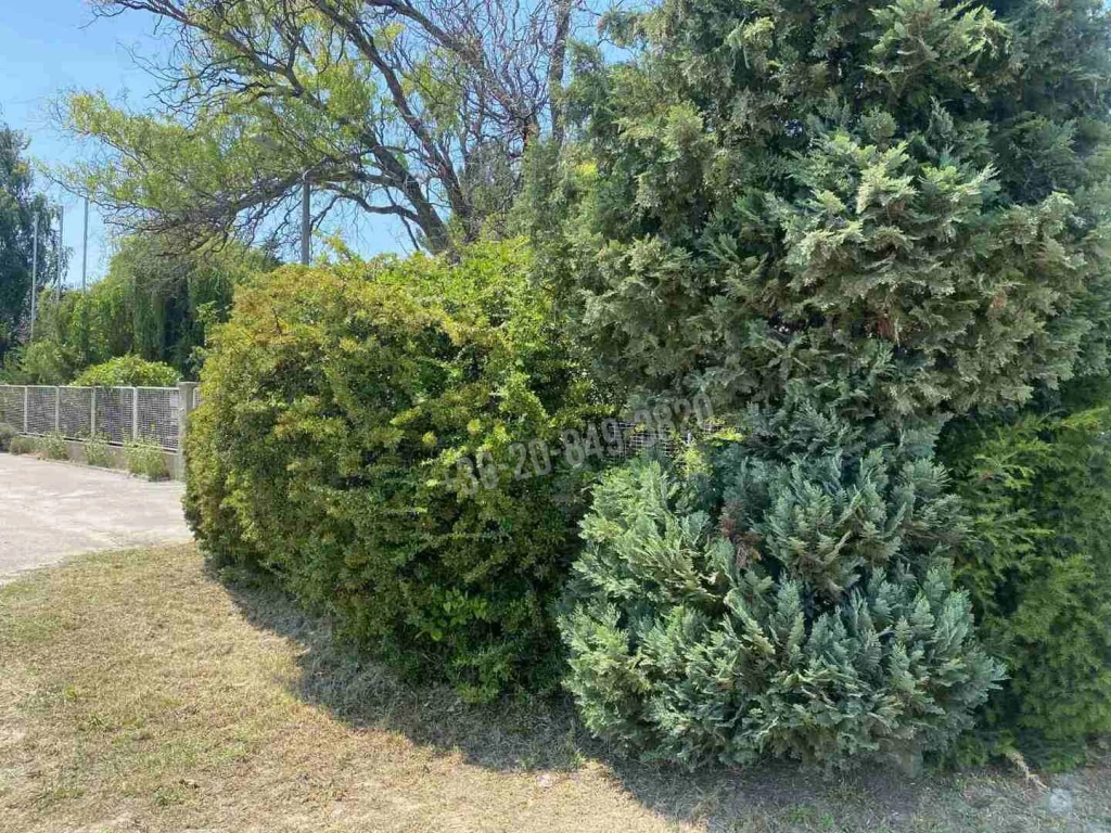 For sale building plot, Dunaharaszti, Iparterület