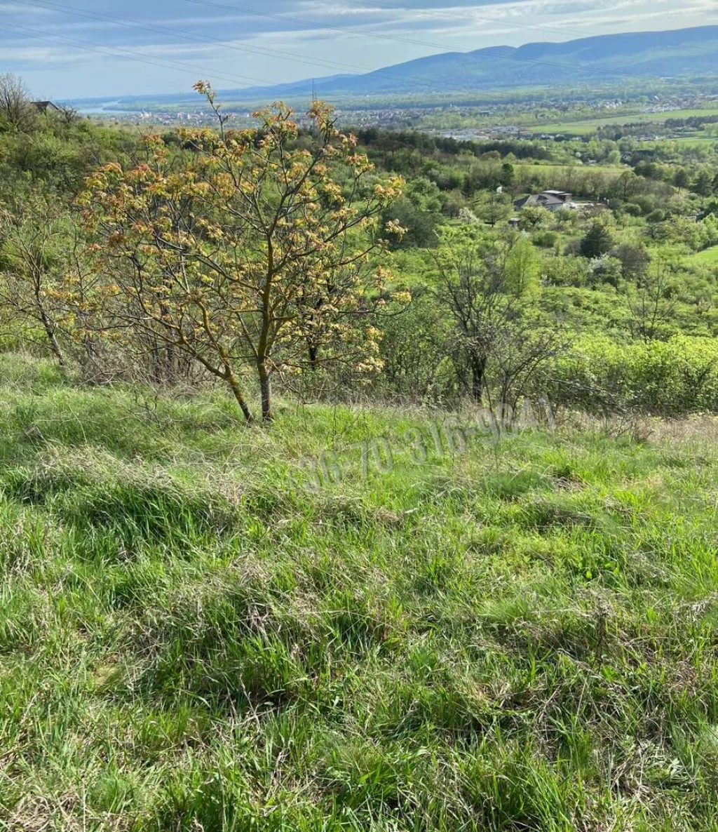 Eladó Építési telek, Vác, Gombás, 8439nm, 14900000 Ft