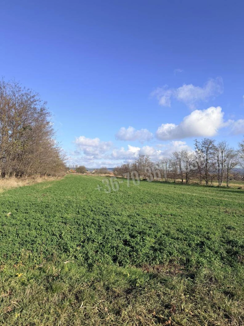 For rent periphery plot, Tata