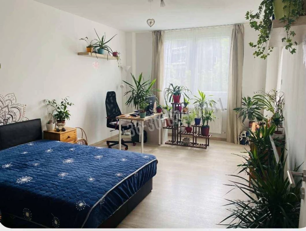 For sale brick flat, Tatabánya