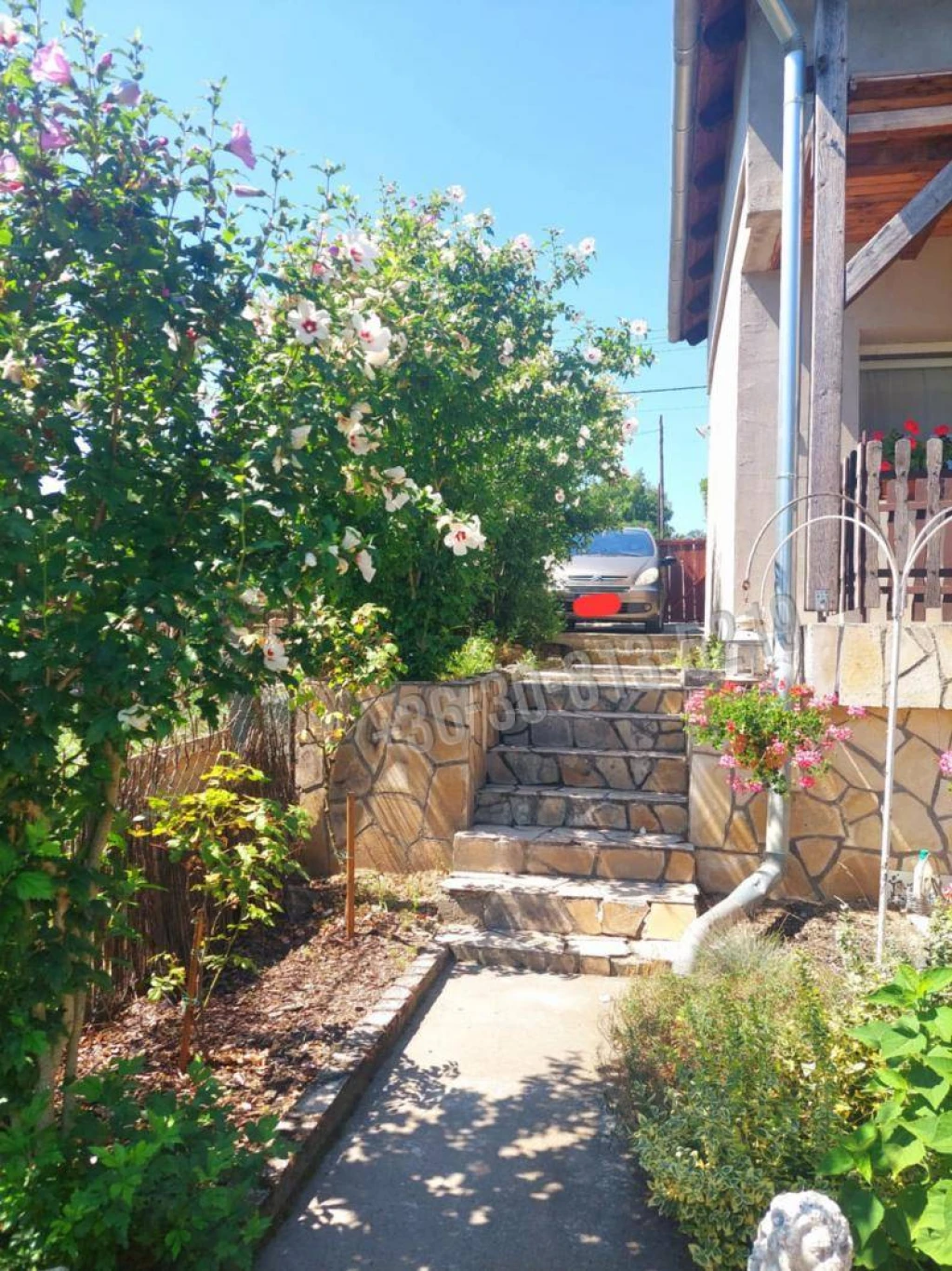 c3-1-name c2-1-name, Vértesszőlős