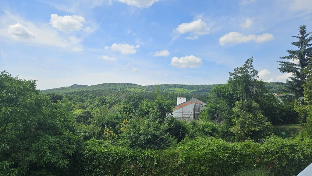 Eladó Sorház, Budakeszi, Barackos, 150nm, 142000000 Ft