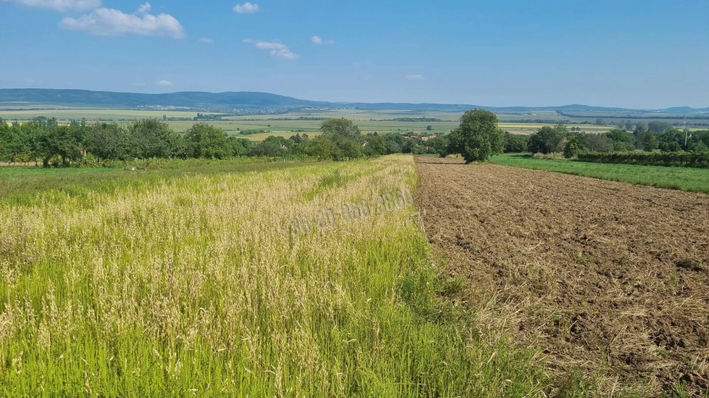Eladó Építési telek, Tök, 1650nm, 12000000 Ft