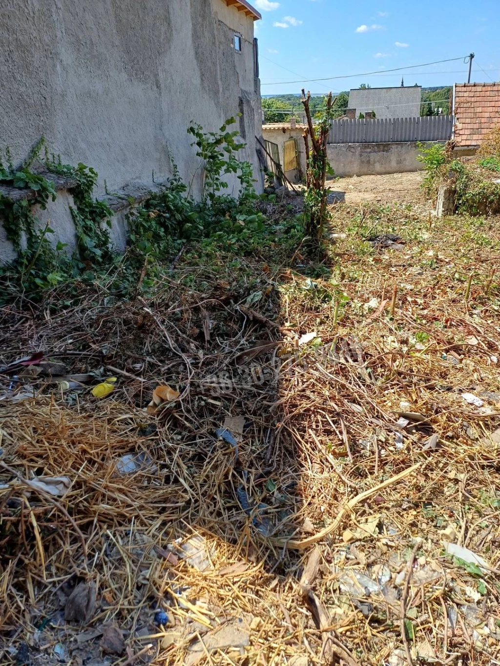 Eladó Építési telek, Páty,  Nincs megadva, 286nm, 35000000 Ft