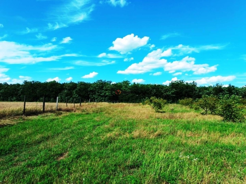 Eladó Külterületi telek, Sződ, 2104-es út, 0nm, 89000000 Ft