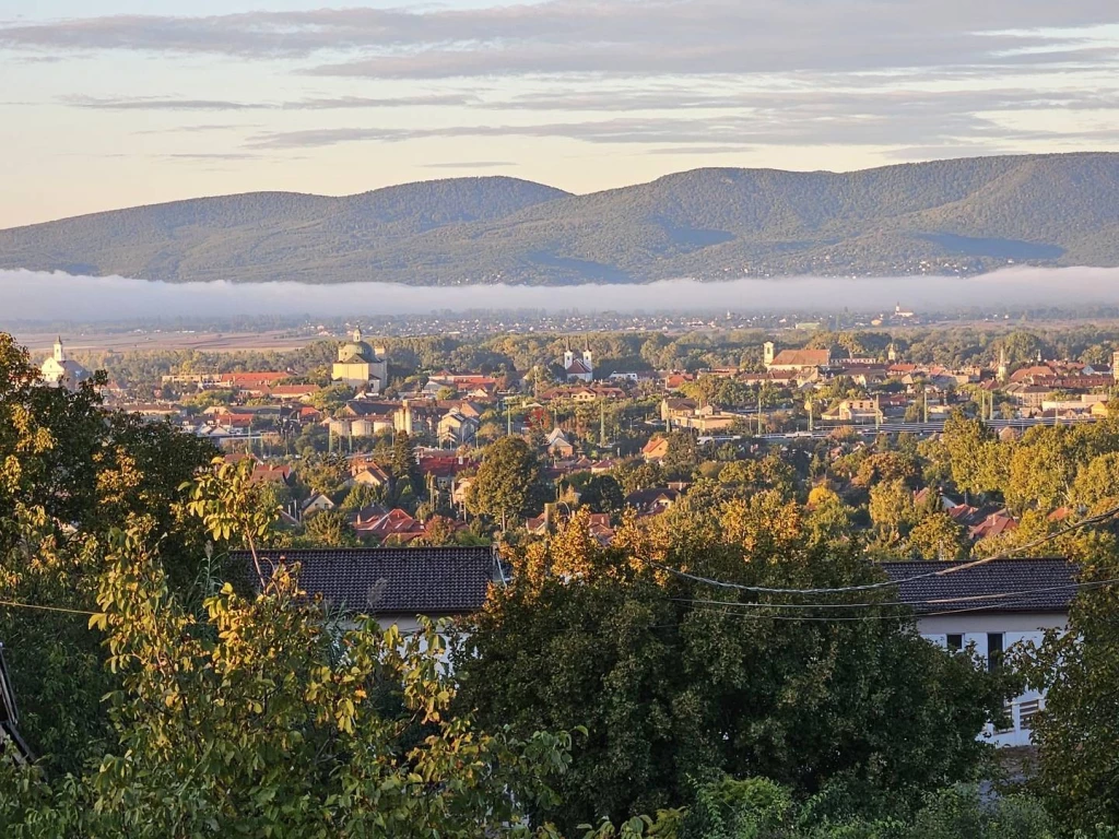 Eladó Ikerház, Vác, Deákvár, 160nm, 174900000 Ft