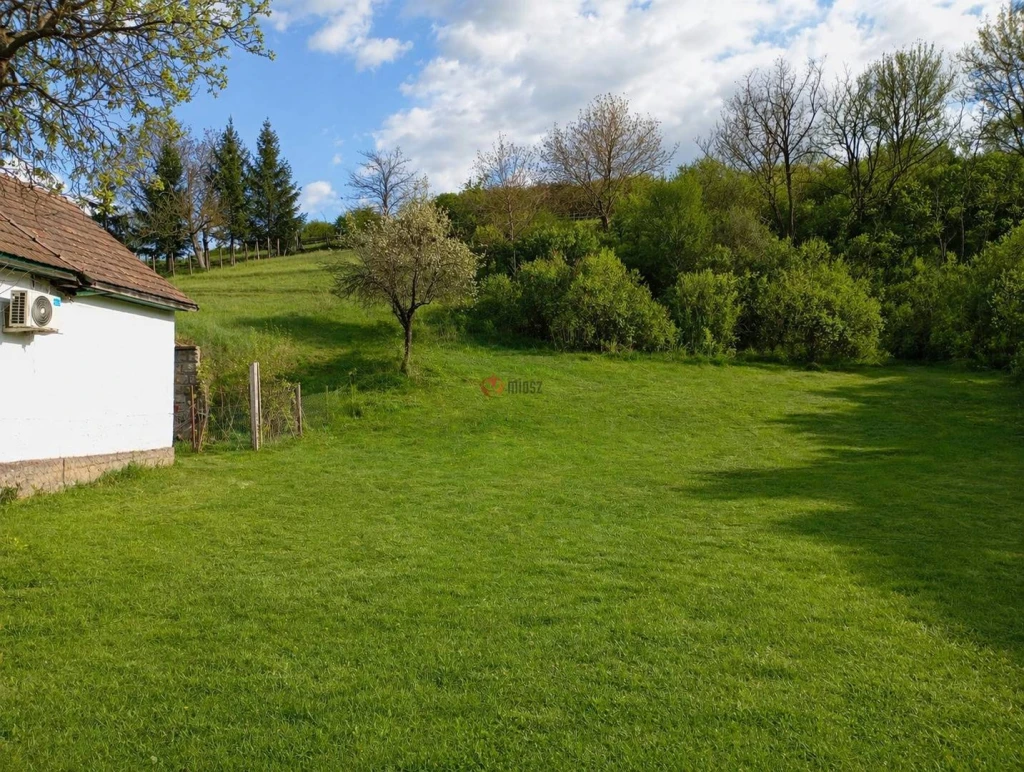 c3-1-name c2-50-name, Cserháthaláp