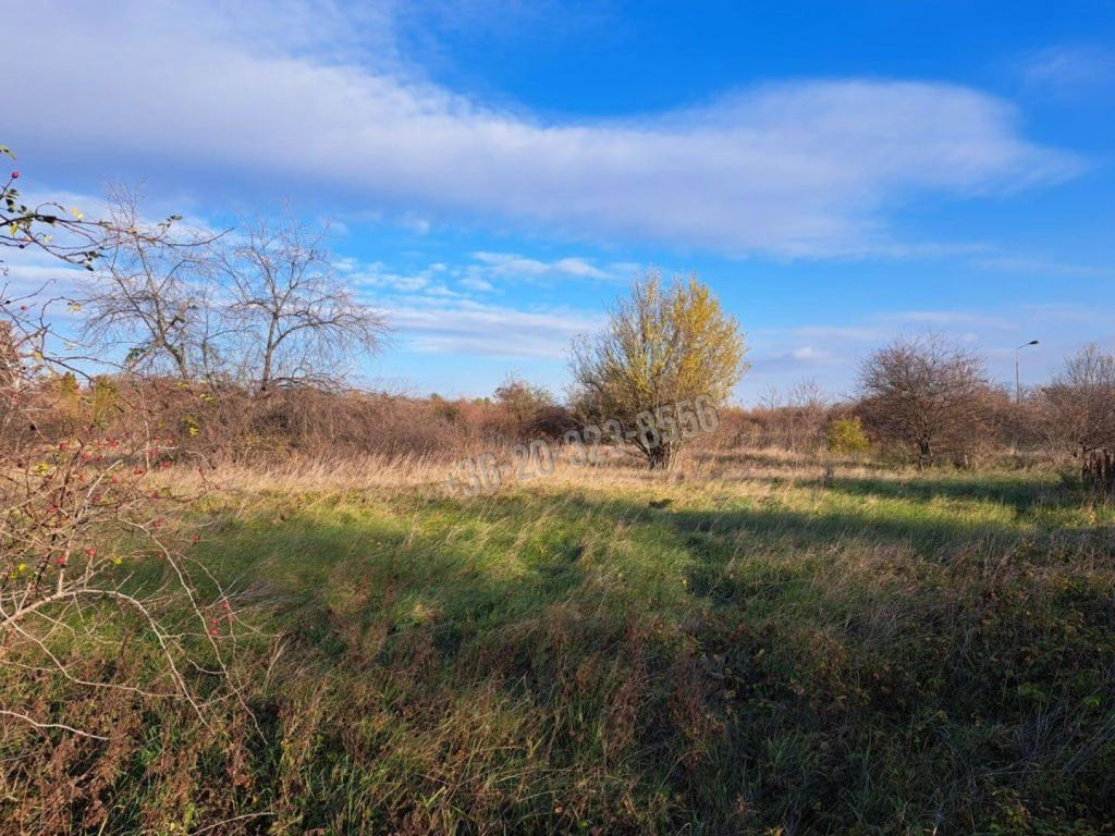 Eladó Építési telek, Vác, Máriaudvar, 49534nm, 544870000 Ft