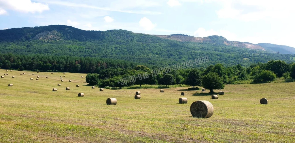 Eladó Külterületi telek, Vác, Sejce, 0nm, 450000000 Ft