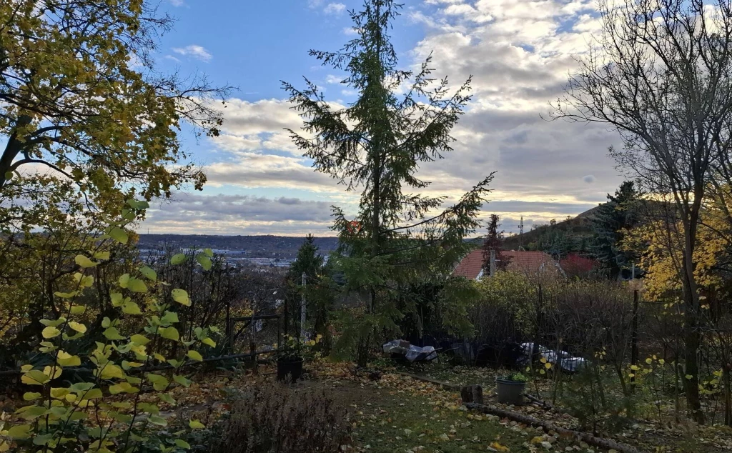 c3-1-name c2-50-name, Budaörs, Nap-hegy