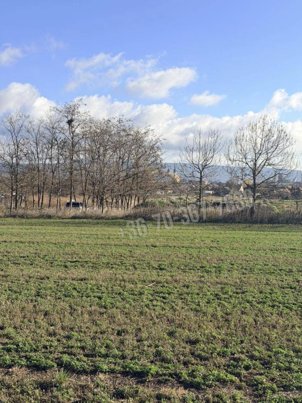 For sale periphery plot, Tata