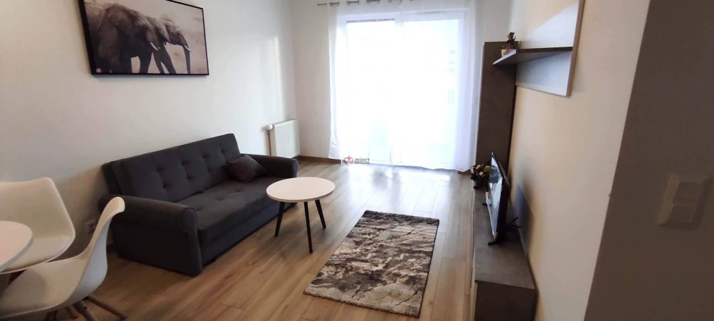 Kiadó Téglalakás, Budapest IX. kerület, Rehabilitációs terület, 44nm, 295000 Ft