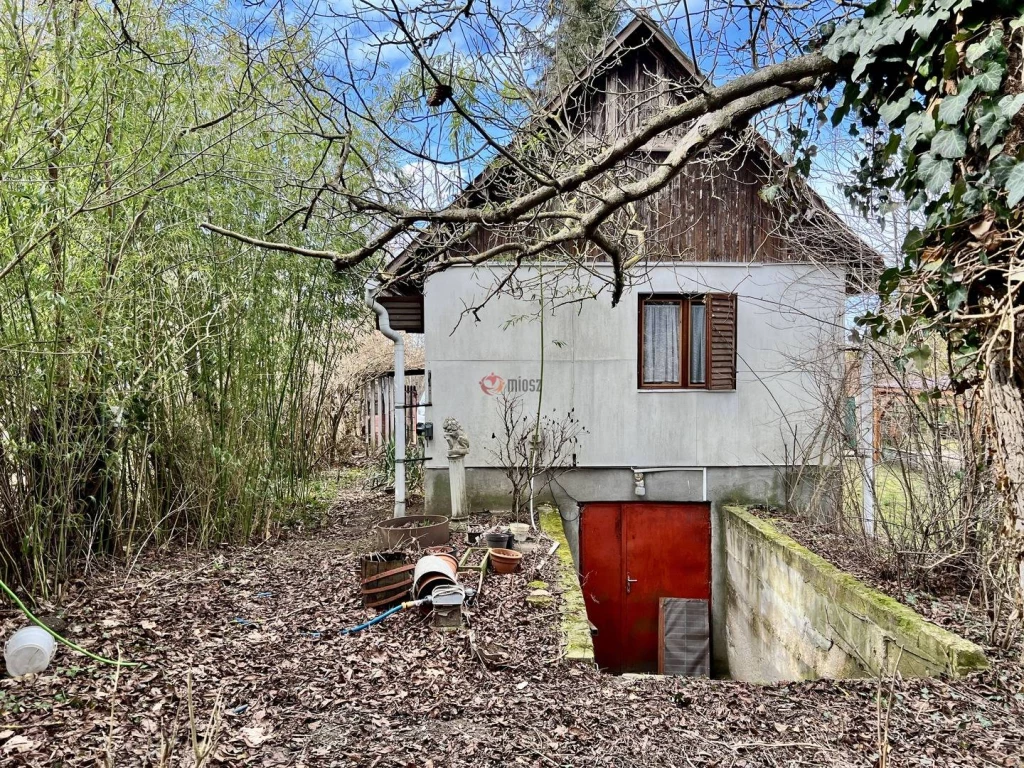 c3-1-name c2-1-name, Pátka