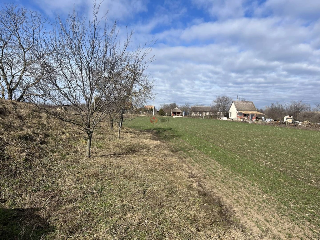Eladó Külterületi telek, Polgárdi,  Nincs megadva, 0nm, 2900000 Ft