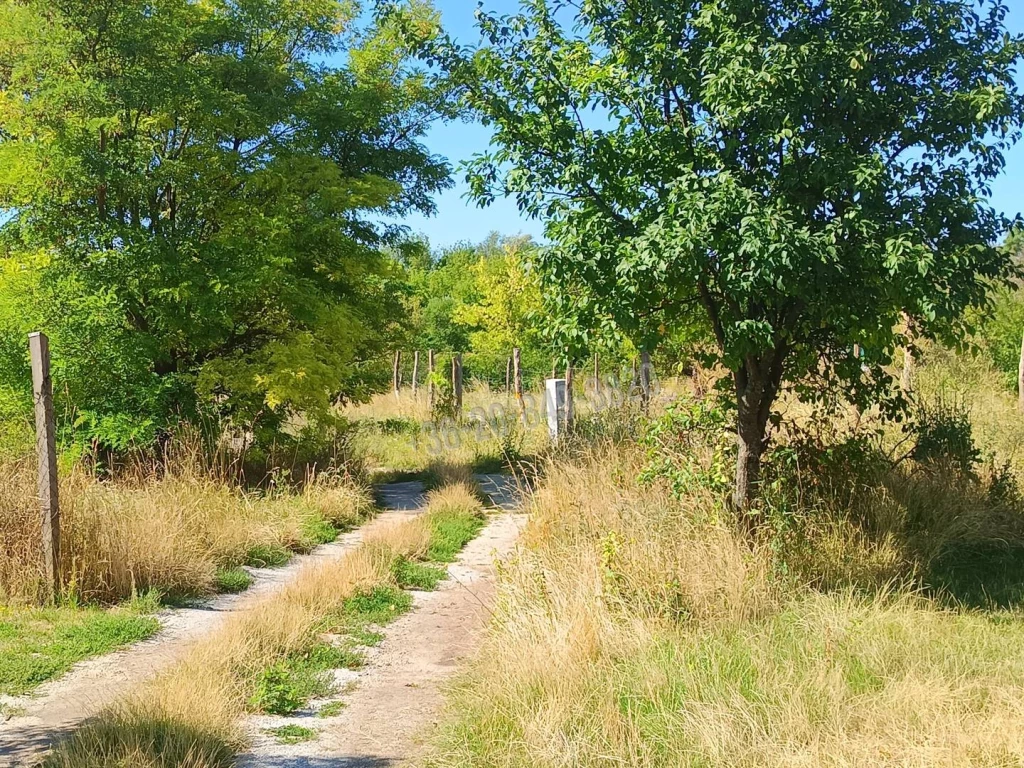Eladó Építési telek, Balatonfüred, Belváros, 2764nm, 112000000 Ft