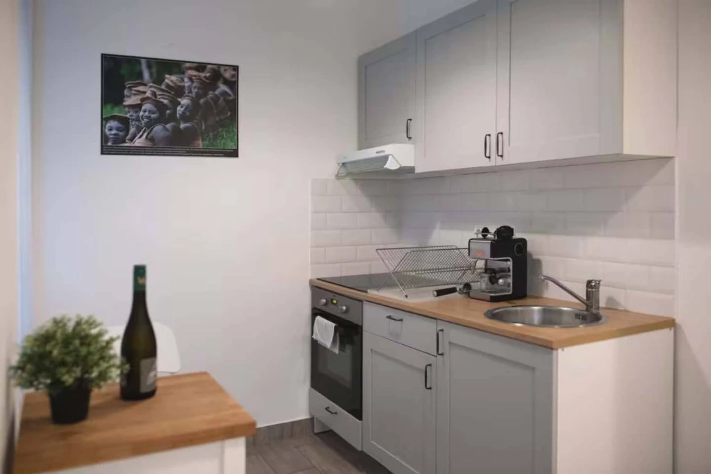 Eladó Téglalakás, Budapest VII. kerület, Erzsébetváros (Nagykörúton belül), 44nm, 79000000 Ft