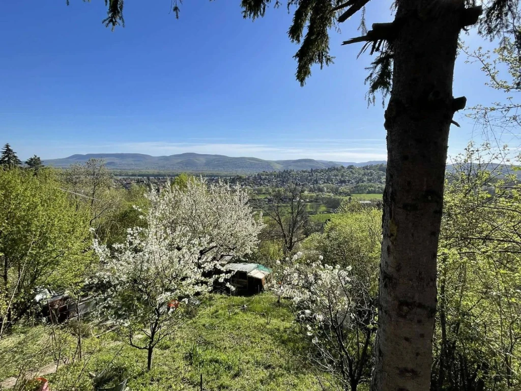 Eladó Családi ház, Verőce, Magyarkút, 50nm, 45900000 Ft