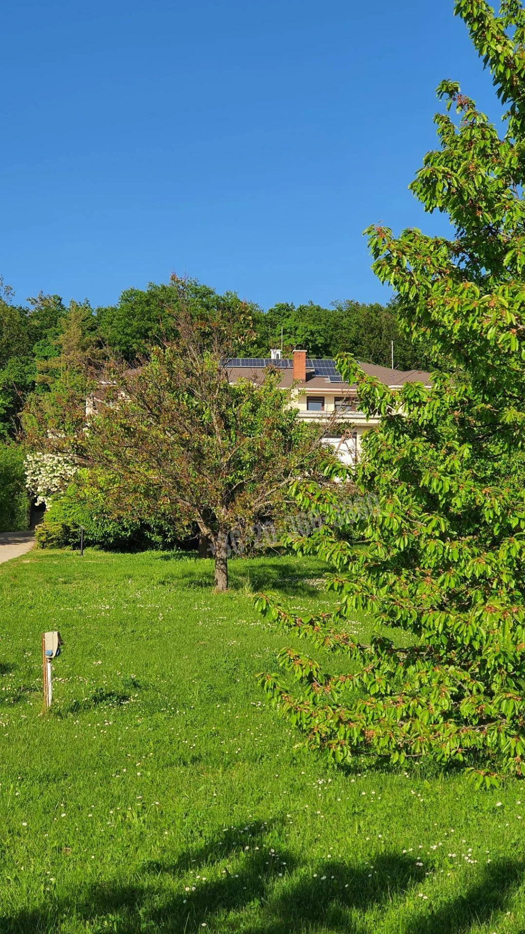 Eladó Családi ház, Budakeszi, Máriamakk, 340nm, 339000000 Ft