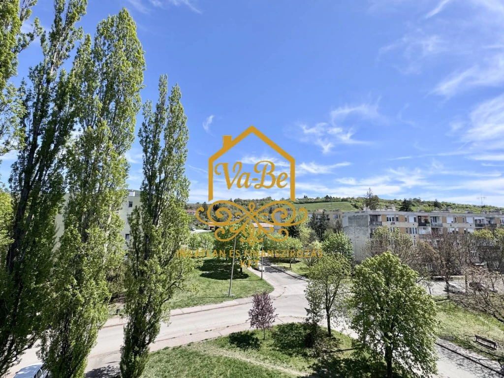 c3-1-name c2-19-name, Eger, Felsőváros, Cifrakapu utca