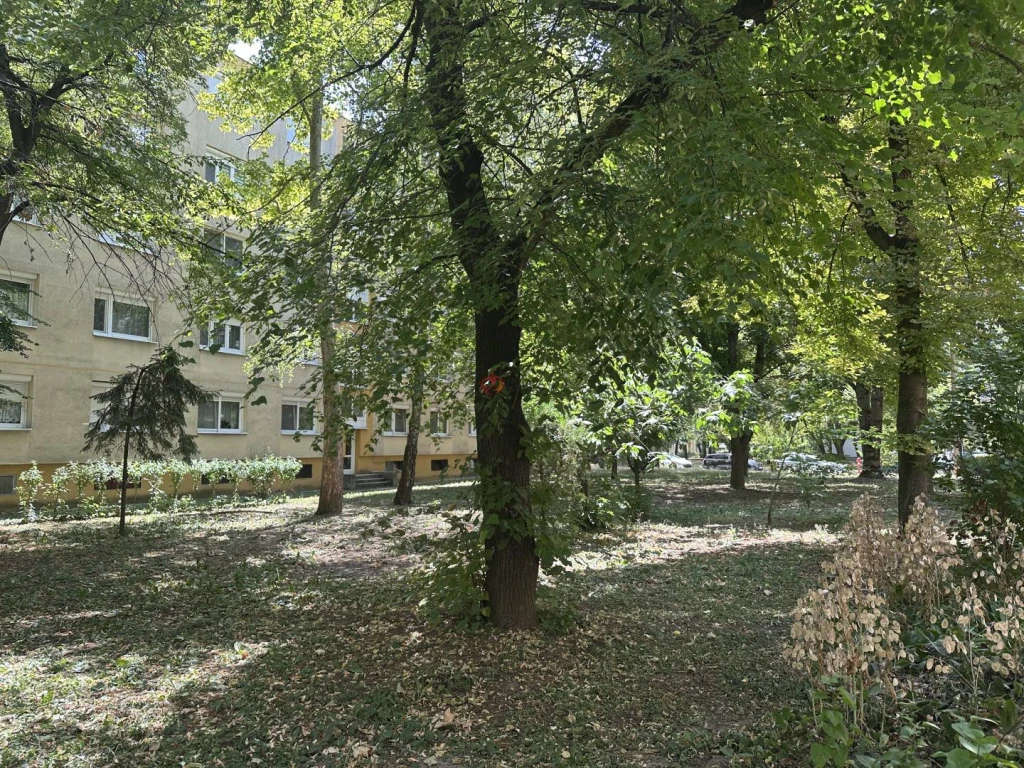 c3-1-name c2-19-name, Székesfehérvár, Köfém, Köfém lakótelep