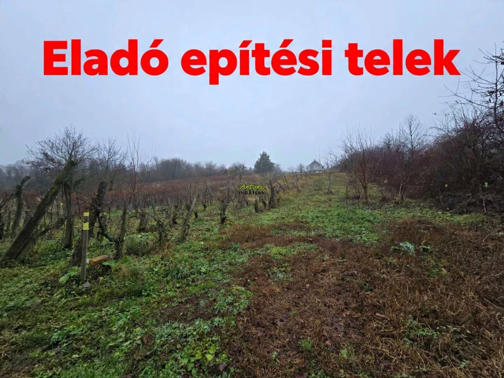 Eladó Építési telek, Sopron, Virágvölgy, 1313nm, 72215000000 Ft