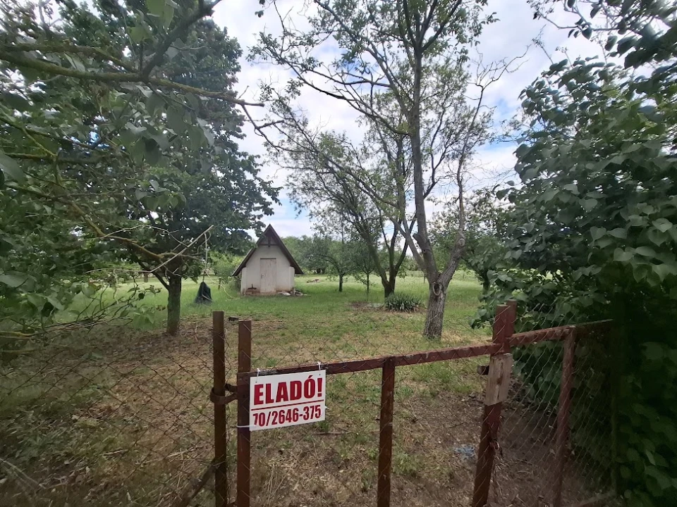 Eladó gyümölcsös, szőlő, Hajdúszoboszló