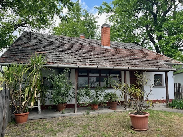 For sale other agricultural, Ásotthalom