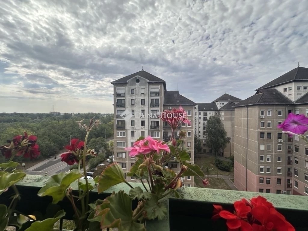 Budapest 4. ker. Káposztásmegyer, erkélyes,  3 szobás.