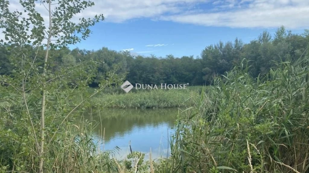 For sale periphery plot, Vitnyéd, Fő utca