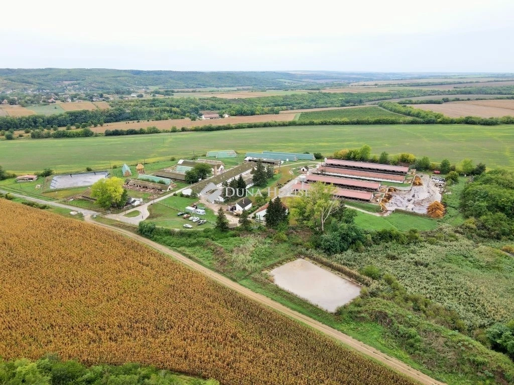 ELADÓ SERTÉSTELEP OZORÁN