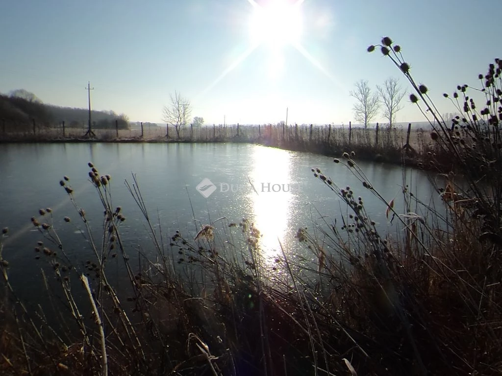 Eladó mezőgazdasági terület horgásztóval Versegen
